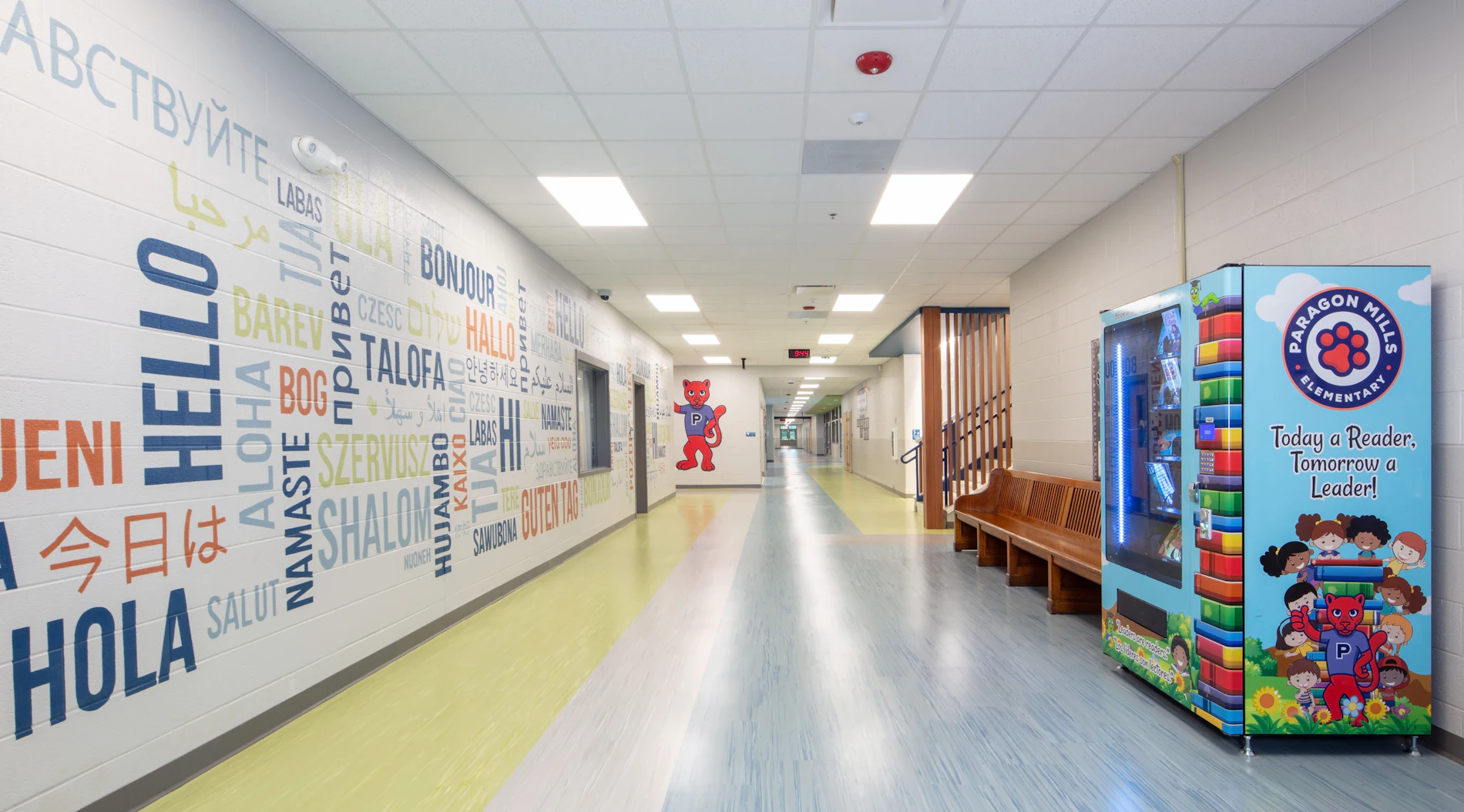 Paragon Mills Elementary School TMP
