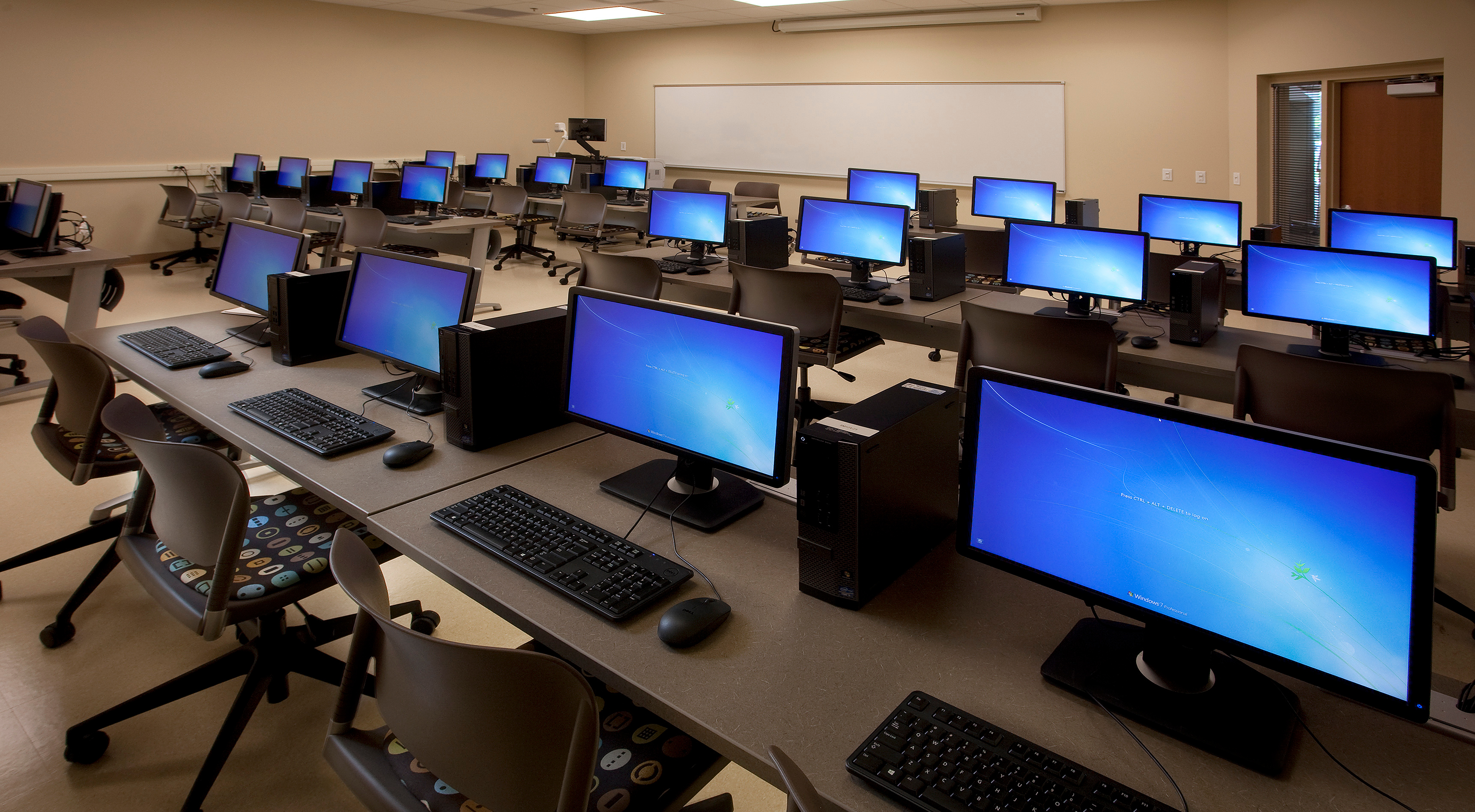 MaryLou Apple Image 1